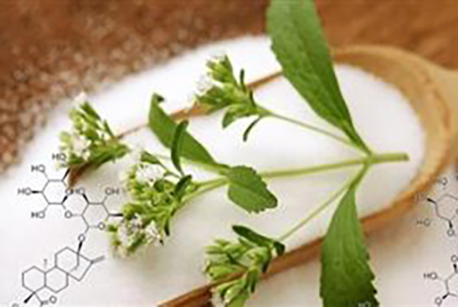 甜菊糖苷的需求持续增长 甜菊糖苷行业···
